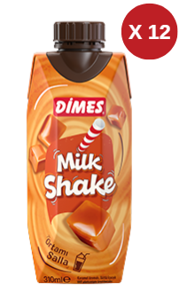 DİMES MİLKSHAKE KARAMELLİ 310 ML 12 ADET