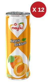 MEYSU KAYISI NEKTARI 330 ML 12 ADET