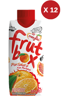 MEYSU FRUTBOX KAN PORTAKALI 330 ML 12 ADET