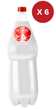 ULUDAĞ EFSANE GAZOZ 2,5 LT 6 ADET