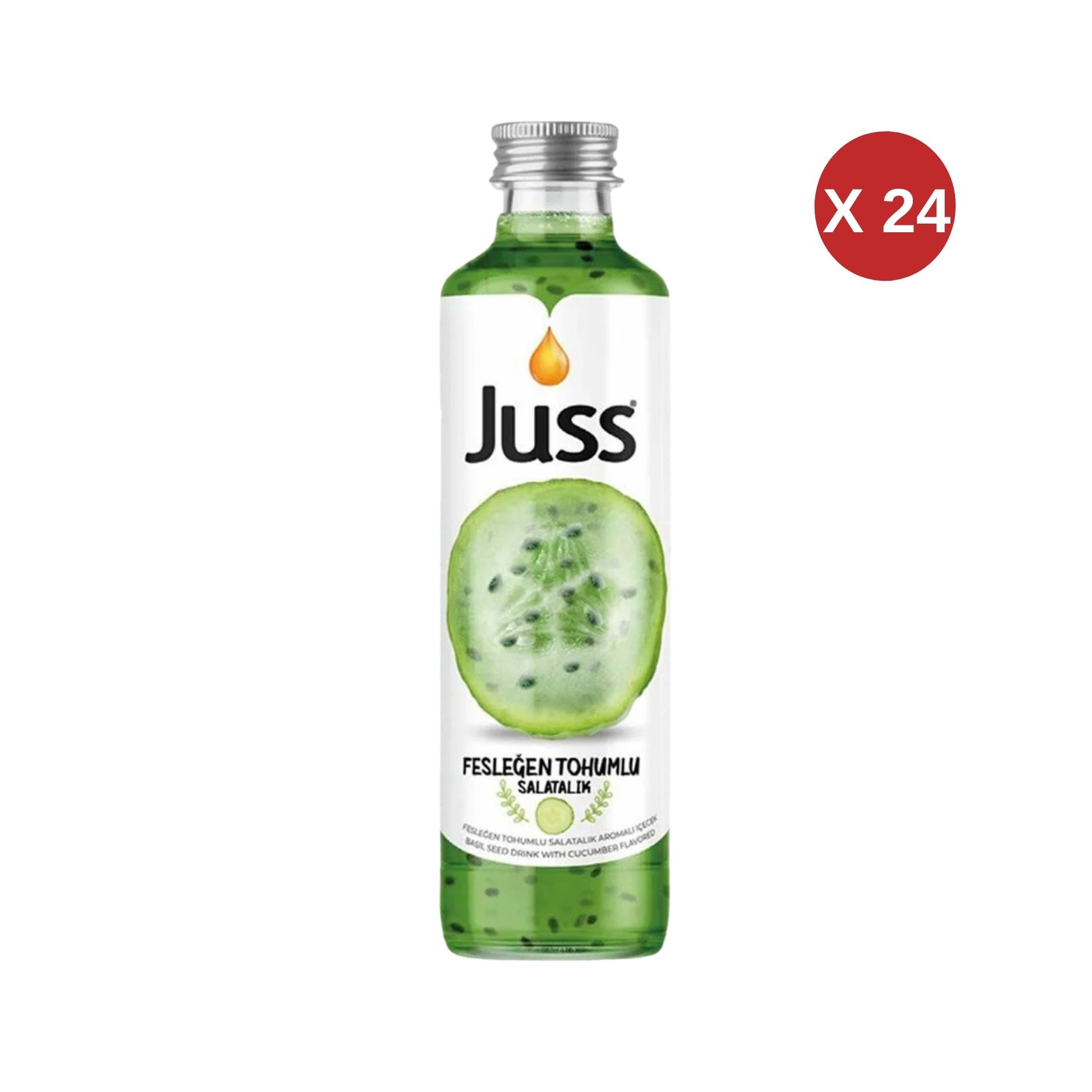 JUSS FESLEĞEN TOHUMLU COOL LİME CAM 250 ML 24 ADET