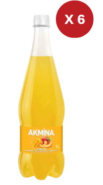  AKMİNA MANGO-ŞEFTALİ  1LT 6 ADET